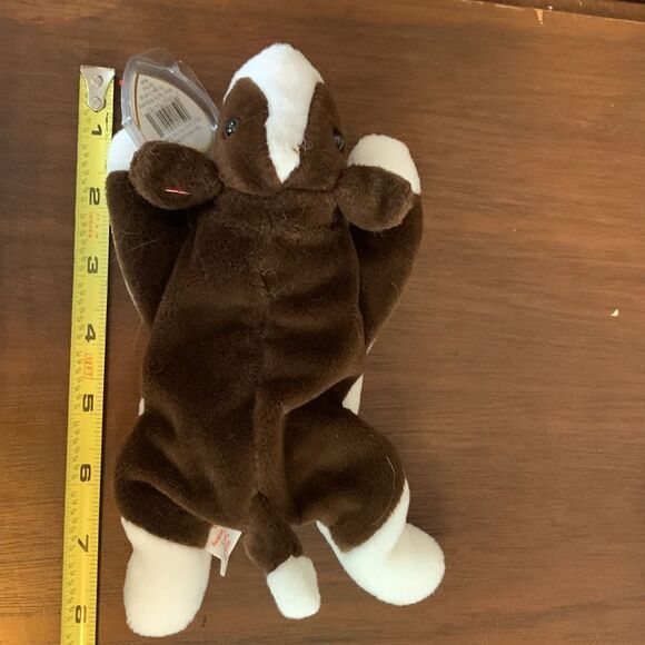 Bruno the puppy birthday, September 9, 1997 - Picture 6 of 6